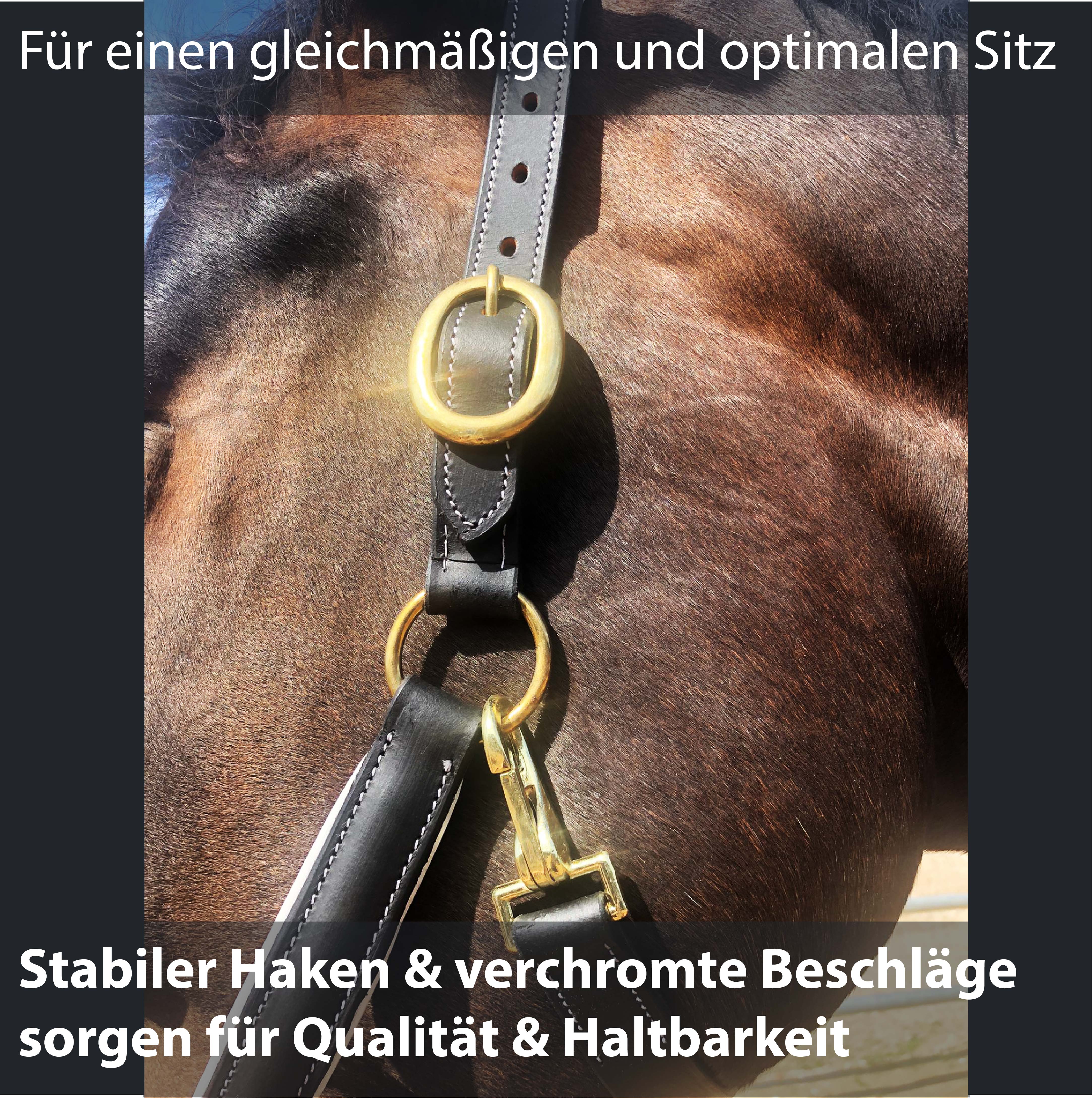 Lederhalfter in schwarz, weiß unterlegt Premium Stallhalfter